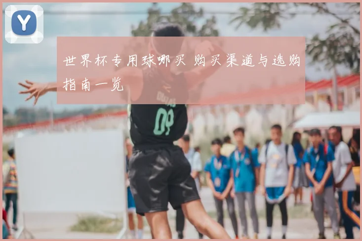 世界杯专用球哪买 购买渠道与选购指南一览